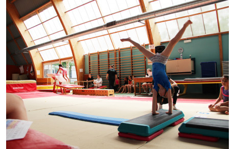 Ecole de Gym 5 (2015 / 2014)