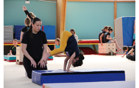 Ecole de Gym 2 (2015 / 2014 / 2013)