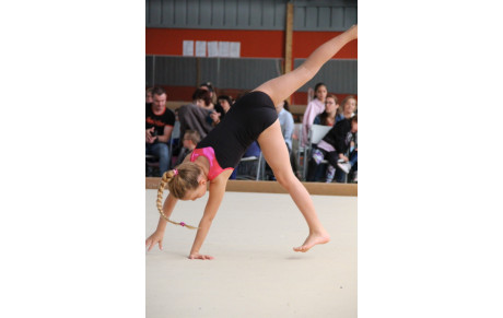 Ecole de Gym 6 (2015 / 2014)